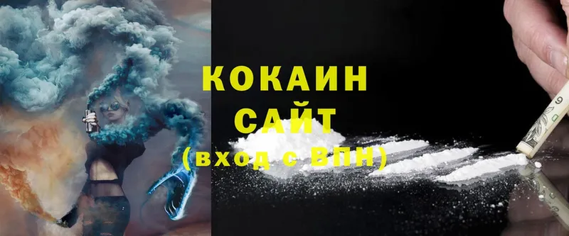 купить наркотики сайты  Ноябрьск  Cocaine Fish Scale 